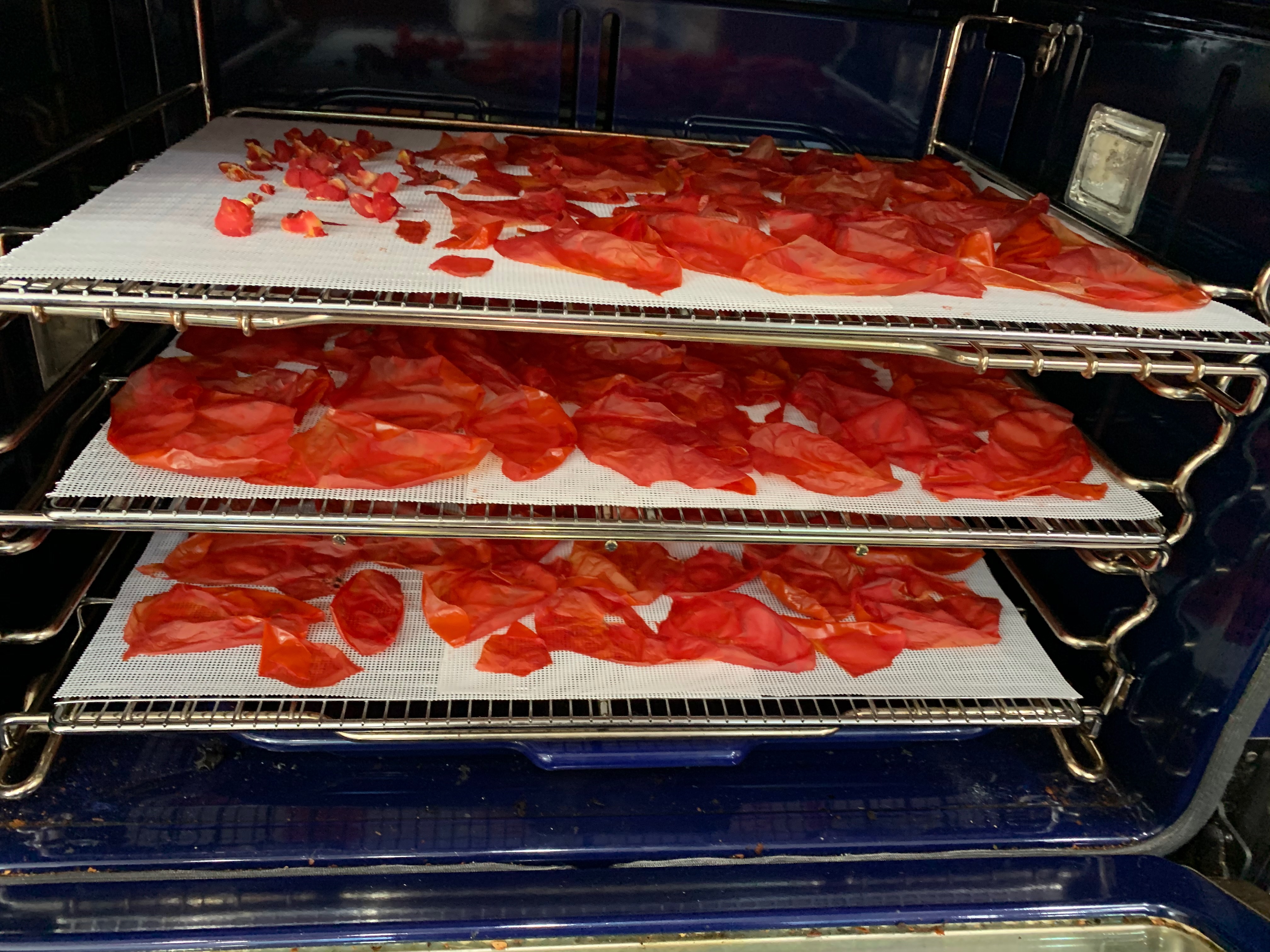 Turning Tomato Skins into Tomato Powder