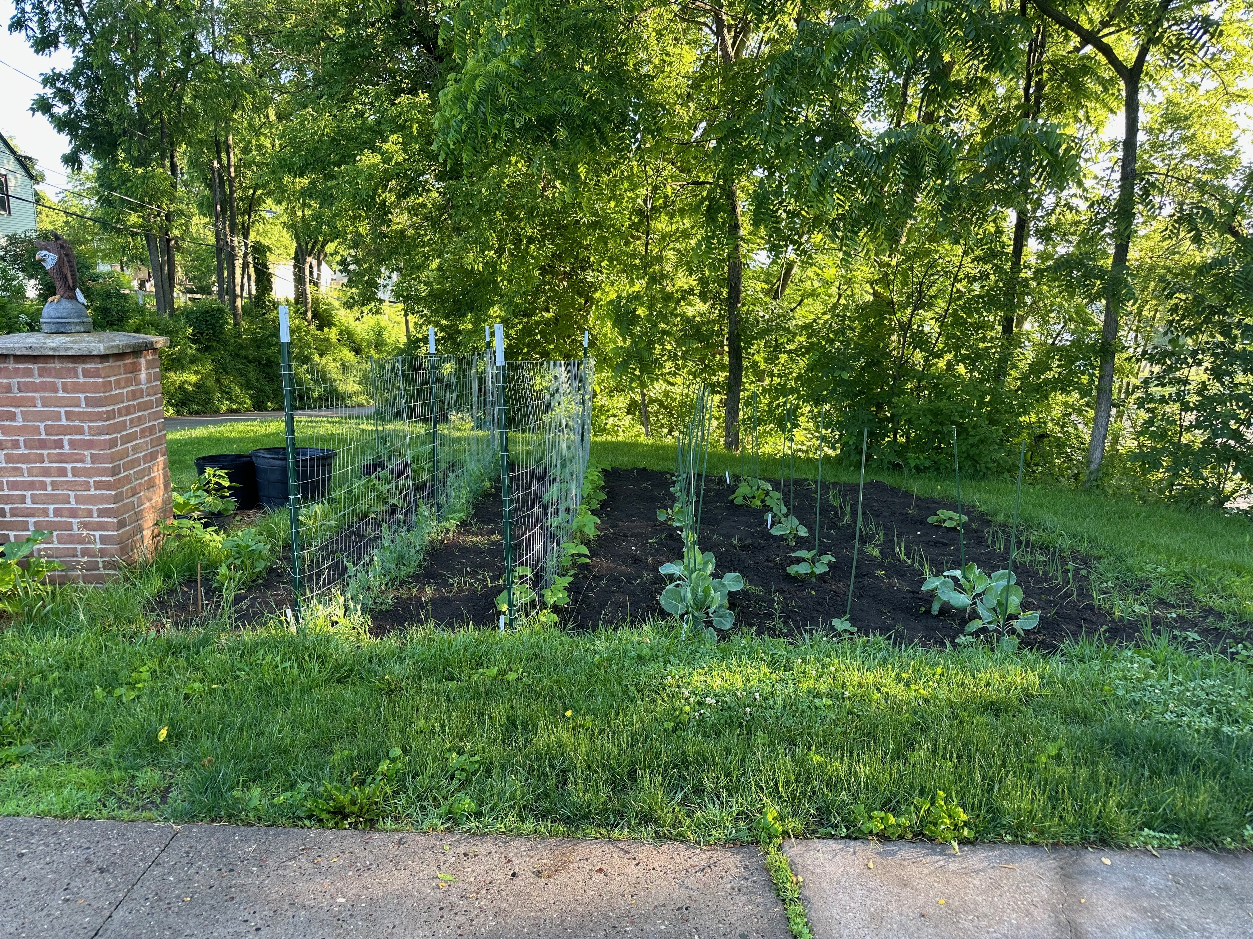 Garden bed with trellis at home