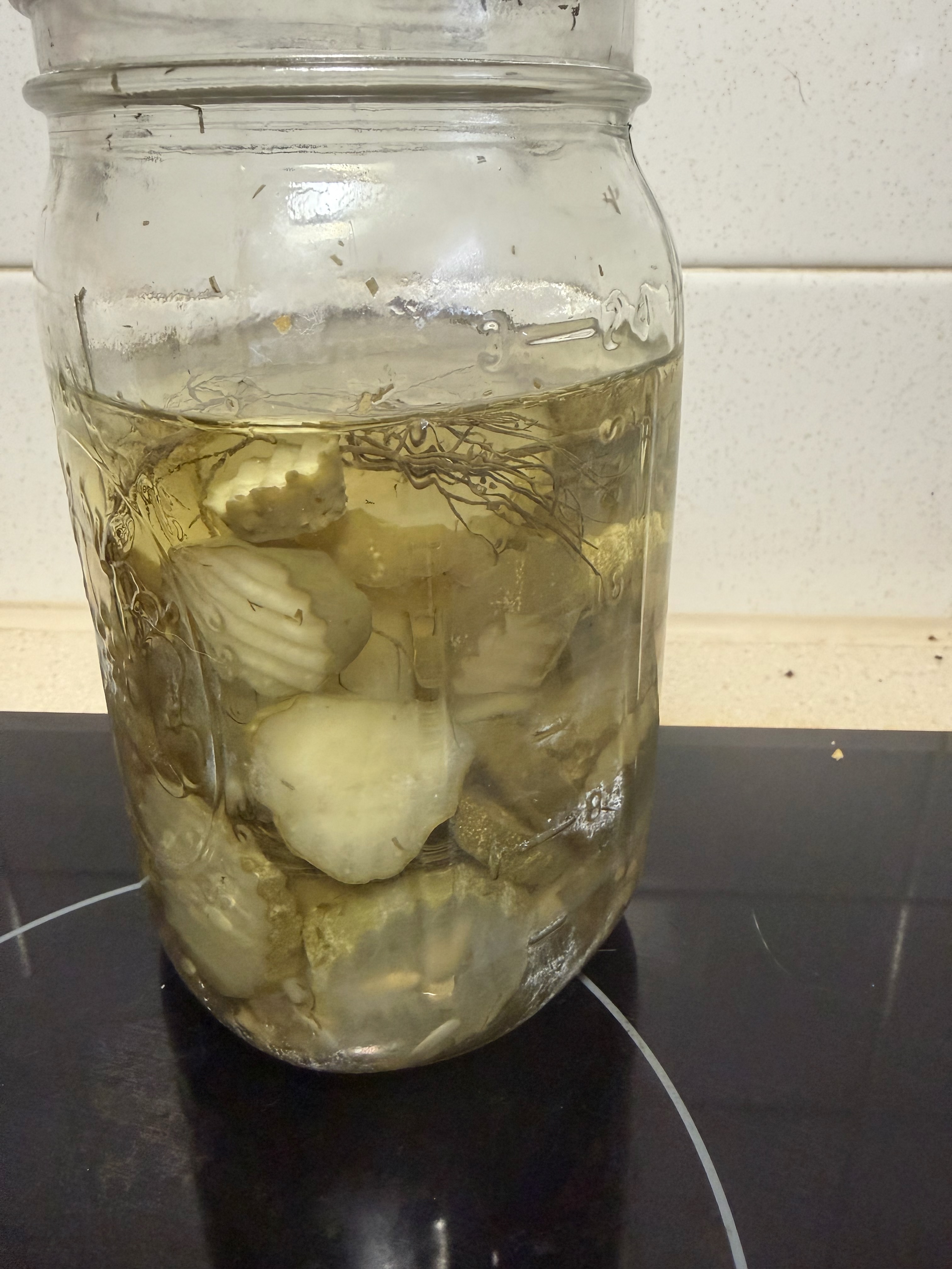 Refrigerator Pickles