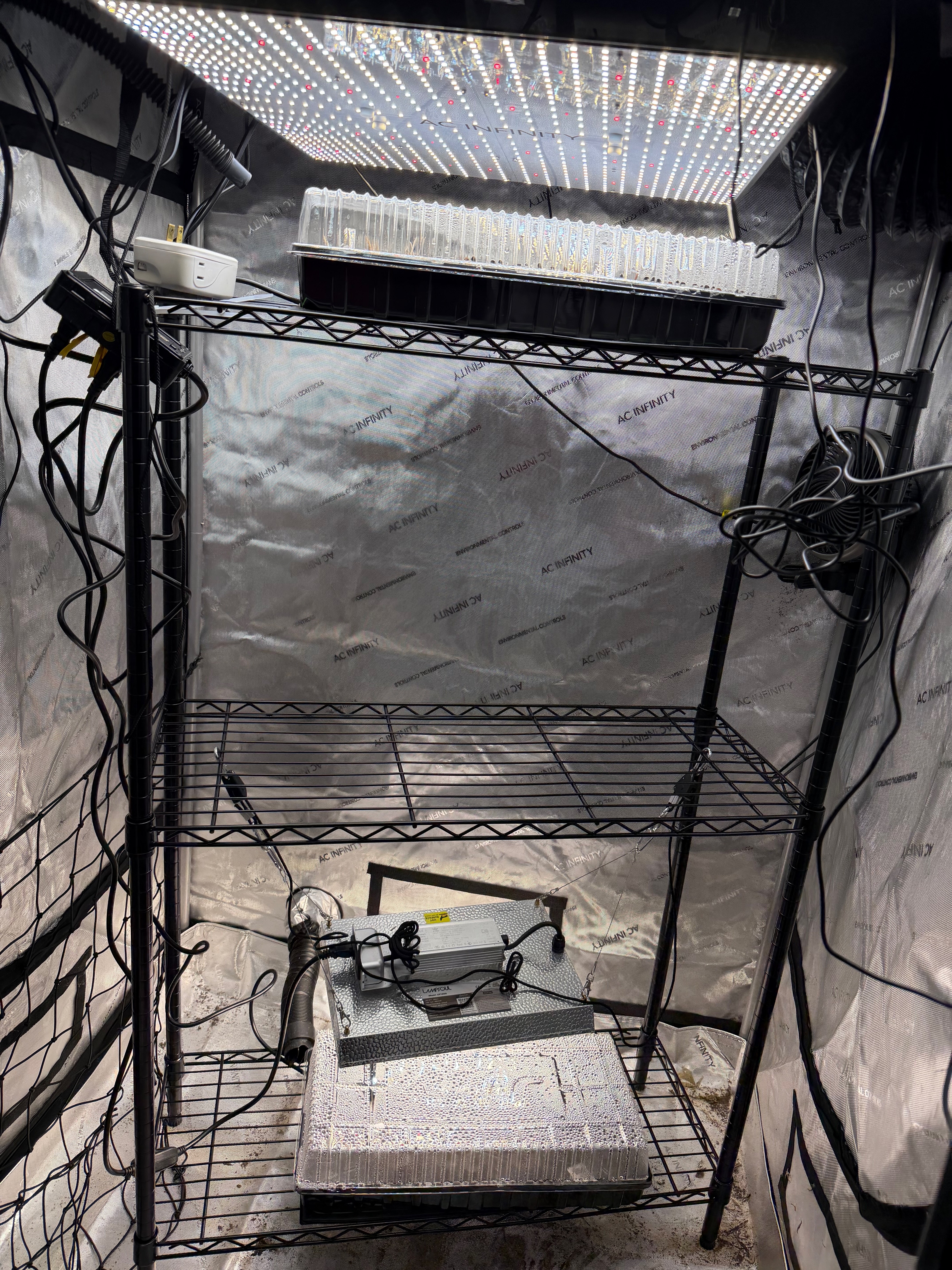 A grow tent setup—wire shelving, LED grow lights, and reflective walls for better light coverage
